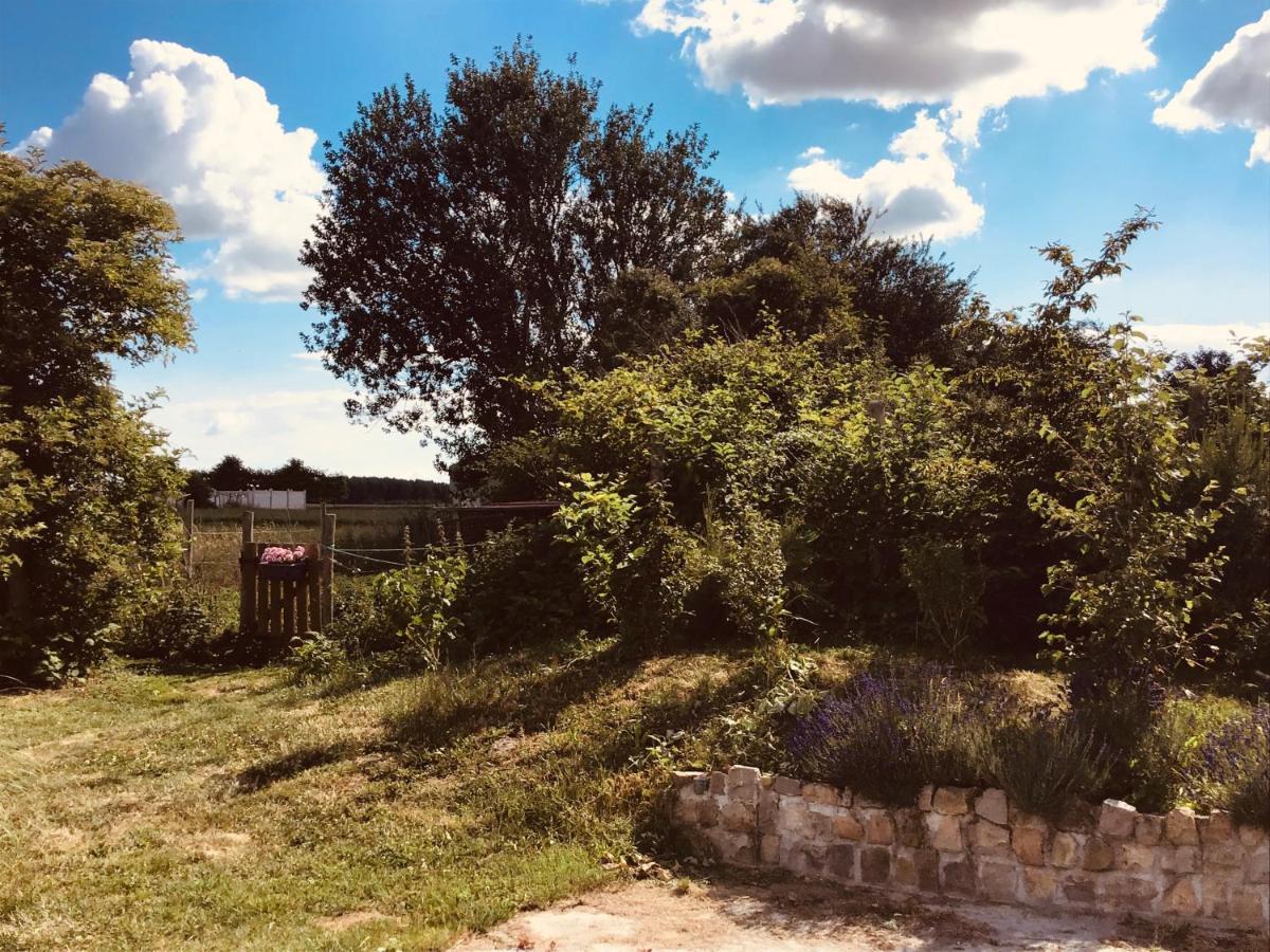 Le Chalet De La Ferme Du Tertre Villers-au-Tertre 客房 照片