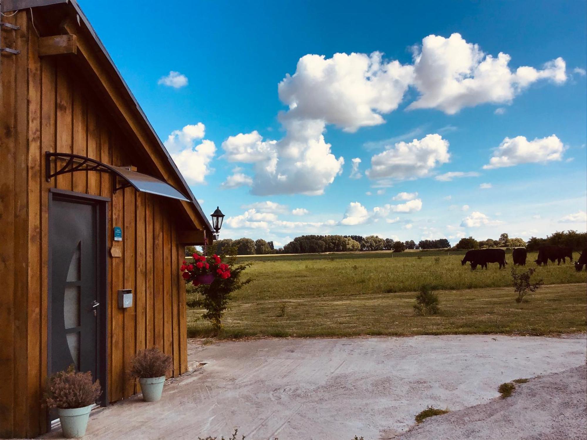 Le Chalet De La Ferme Du Tertre Villers-au-Tertre 客房 照片